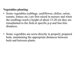 Vegetables planting
• Some vegetables (cabbage, cauliflower, chilies, onion,
tomato, lettuce etc.) are first raised in nursery and when
the seedlings reach a height of about 15-20 cm they are
transplanted to the field at specific p-p and line-line
distances.
• Some vegetables are sown directly in properly prepared
beds, maintaining the appropriate distances between
beds and between plants.
 