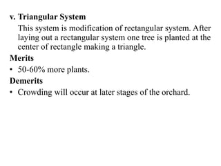 v. Triangular System
This system is modification of rectangular system. After
laying out a rectangular system one tree is planted at the
center of rectangle making a triangle.
Merits
• 50-60% more plants.
Demerits
• Crowding will occur at later stages of the orchard.
 