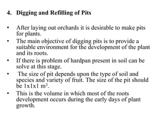 4. Digging and Refilling of Pits
• After laying out orchards it is desirable to make pits
for plants.
• The main objective of digging pits is to provide a
suitable environment for the development of the plant
and its roots.
• If there is problem of hardpan present in soil can be
solve at this stage.
• The size of pit depends upon the type of soil and
species and variety of fruit. The size of the pit should
be 1x1x1 m3.
• This is the volume in which most of the roots
development occurs during the early days of plant
growth.
 