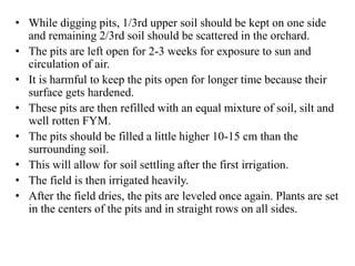 • While digging pits, 1/3rd upper soil should be kept on one side
and remaining 2/3rd soil should be scattered in the orchard.
• The pits are left open for 2-3 weeks for exposure to sun and
circulation of air.
• It is harmful to keep the pits open for longer time because their
surface gets hardened.
• These pits are then refilled with an equal mixture of soil, silt and
well rotten FYM.
• The pits should be filled a little higher 10-15 cm than the
surrounding soil.
• This will allow for soil settling after the first irrigation.
• The field is then irrigated heavily.
• After the field dries, the pits are leveled once again. Plants are set
in the centers of the pits and in straight rows on all sides.
 