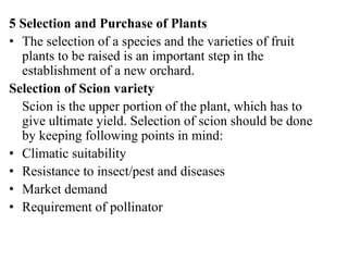 5 Selection and Purchase of Plants
• The selection of a species and the varieties of fruit
plants to be raised is an important step in the
establishment of a new orchard.
Selection of Scion variety
Scion is the upper portion of the plant, which has to
give ultimate yield. Selection of scion should be done
by keeping following points in mind:
• Climatic suitability
• Resistance to insect/pest and diseases
• Market demand
• Requirement of pollinator
 