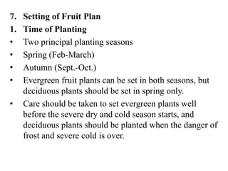 7. Setting of Fruit Plan
1. Time of Planting
• Two principal planting seasons
• Spring (Feb-March)
• Autumn (Sept.-Oct.)
• Evergreen fruit plants can be set in both seasons, but
deciduous plants should be set in spring only.
• Care should be taken to set evergreen plants well
before the severe dry and cold season starts, and
deciduous plants should be planted when the danger of
frost and severe cold is over.
 