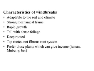 Characteristics of windbreaks
• Adaptable to the soil and climate
• Strong mechanical frame
• Rapid growth
• Tall with dense foliage
• Deep rooted
• Tap rooted not fibrous root system
• Prefer those plants which can give income (jaman,
Muberry, ber)
 