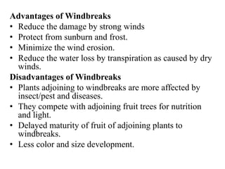Advantages of Windbreaks
• Reduce the damage by strong winds
• Protect from sunburn and frost.
• Minimize the wind erosion.
• Reduce the water loss by transpiration as caused by dry
winds.
Disadvantages of Windbreaks
• Plants adjoining to windbreaks are more affected by
insect/pest and diseases.
• They compete with adjoining fruit trees for nutrition
and light.
• Delayed maturity of fruit of adjoining plants to
windbreaks.
• Less color and size development.
 