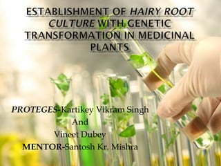PROTEGES-Kartikey Vikram Singh
And
Vineet Dubey
MENTOR-Santosh Kr. Mishra

 