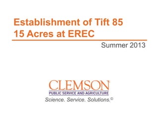 Establishment of Tift 85
15 Acres at EREC
Summer 2013

Science. Service. Solutions.©

 
