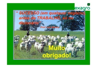 “ SUCESSO (em qualquer negócio),
  antes de TRABALHO, só no
  dicionário”
           Prof. Luiz Marins




              Muito
            obrigado!
 
