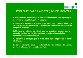 POR QUE FAZER A ESTAÇÃO DE MONTA?

1. Equacionar a necessidade nutricional do rebanho com a produção
quantitativa e qualitativa das forragens.

2. Simplificar e otimizar o uso da mão-de-obra na fazenda, o que nos
                                   mão-de-
proporcionará a condição de fazermos um calendário de atividades
simples e objetivo.
           objetivo.
3. Melhorar a avaliação do rebanho de corte, pois os animais com a
variação máxima de 120 dias de idade estarão sob condições
ambientais muito semelhantes.

4. Melhorar a seleção que é feita com mais segurança e maior
eficiência.
eficiência.

3. Comercialmente teremos uniformidade nos animais de venda,
podendo alcançar preço médio melhor.
                             melhor.
 