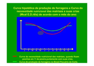 Curva hipotética de produção de forragens e Curva da
  necessidade nutricional das matrizes e suas crias
    (Mcal E.D./dia) de acordo com o mês do ano:




        J   F   M   A   M   J   J   A   S   O   N   D

    Curva da necessidade nutricional das matrizes, quando ficam
      prenhas em 1o de janeiro,juntamente com suas crias.
    Curva de produção de forragens no Brasil Pecuário de Corte.
 