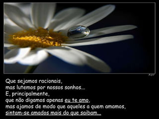 Que sejamos racionais,  mas lutemos por nossos sonhos...  E, principalmente,  que não digamos apenas  eu te amo ,  mas ajamos de modo que aqueles a quem amamos,  sintam-se amados mais do que saibam... 