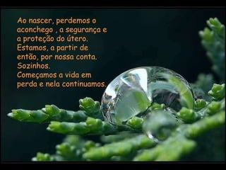 Ao nascer, perdemos o aconchego , a segurança e a proteção do útero.  Estamos, a partir de então, por nossa conta.  Sozinhos.  Começamos a vida em perda e nela continuamos.  