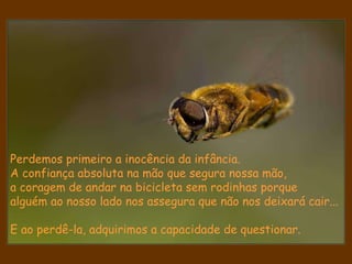 Perdemos primeiro a inocência da infância.  A confiança absoluta na mão que segura nossa mão,  a coragem de andar na bicicleta sem rodinhas porque  alguém ao nosso lado nos assegura que não nos deixará cair...  E ao perdê-la, adquirimos a capacidade de questionar.  