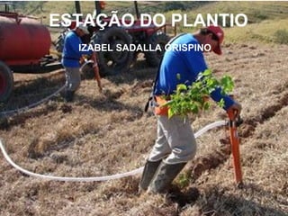 ESTAÇÃO DO PLANTIO
IZABEL SADALLA GRISPINO
 