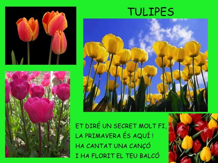 Resultado de imagen de et dire un secret molt fi la primavera