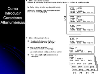 Como
Introducir
Caracteres
Alfanuméricos
 