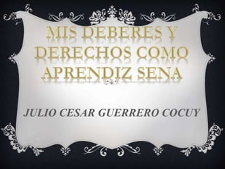 JULIO CESAR GUERRERO COCUY
 