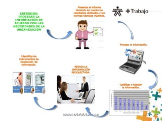 CRITERIOS:
PROCESAR LA
INFORMACIÓN DE
ACUERDO CON LAS
NECESIDADES DE LA
ORGANIZACIÓN
 