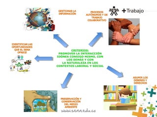 CRITERIOS:
PROMOVER LA INTERACCIÓN
IDÓNEA CONSIGO MISMO, CON
LOS DEMÁS Y CON
LA NATURALEZA EN LOS
CONTEXTOS LABORAL Y SOCIAL
 