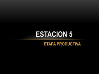 ETAPA PRODUCTIVA
ESTACION 5
 