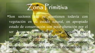 Zona Primitiva
•Son sectores que se mantienen todavía con
vegetación en su estado natural, en apropiado
estado de conservación con poca alteración por el
ser humano, combinados con bosques poco
intervenidos, pero en donde habitan animales
silvestres y plantas de gran importancia,
seriamente amenazadas en vías de desaparición.
 