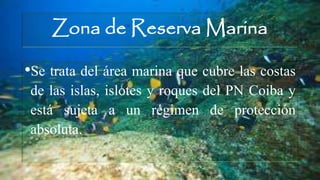 Zona de Reserva Marina
•Se trata del área marina que cubre las costas
de las islas, islotes y roques del PN Coiba y
está sujeta a un régimen de protección
absoluta.
 