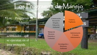 Los Programas de Manejo
•Los Programas
de Manejo
orientan el
desarrollo de las
actividades que
se ejecutan en el
área protegida.
Control y
Vigilancia
Administración
Y Gestión
Administrativa
Investigación y
Monitoreo
Ambiental
Manejo de
Recursos
Naturales y
Culturales
Comunicación,
Recreación
Dirigida y
Educación
Ambiental
 