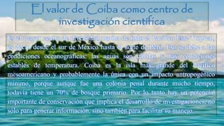 El valor de Coiba como centro de
investigación científica
Es el mayor centro de diversidad marina de todo el Pacífico Este Tropical,
es decir, desde el sur de México hasta el norte de Perú. Eso se debe a las
condiciones oceanográficas: las aguas son cálidas y hay condiciones
estables de temperatura. Coiba es la isla más grande del Pacífico
mesoamericano y probablemente la única con un impacto antropogénico
mínimo, porque aunque fue una colonia penal durante mucho tiempo,
todavía tiene un 70% de bosque primario. Por lo tanto hay un potencial
importante de conservación que implica el desarrollo de investigaciones, no
sólo para generar información, sino también para facilitar su manejo.
 