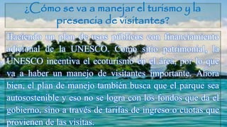¿Cómo se va a manejar el turismo y la
presencia de visitantes?
Haciendo un plan de usos públicos con financiamiento
adicional de la UNESCO. Como sitio patrimonial, la
UNESCO incentiva el ecoturismo en el área, por lo que
va a haber un manejo de visitantes importante. Ahora
bien, el plan de manejo también busca que el parque sea
autosostenible y eso no se logra con los fondos que da el
gobierno, sino a través de tarifas de ingreso o cuotas que
provienen de las visitas.
 