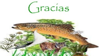 Estacion cientifica en el parque de coiba