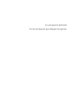 Es una pluma delirante
En las acrobacias que dibujan las garzas.
 
