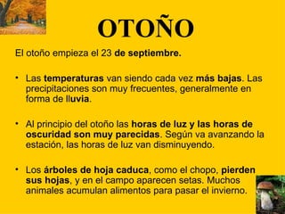 OTOÑO El otoño empieza el 23  de septiembre. Las  temperaturas  van siendo cada vez  más bajas . Las precipitaciones son muy frecuentes, generalmente en forma de ll uvia . Al principio del otoño las  horas de luz y las horas de oscuridad son muy parecidas . Según va avanzando la estación, las horas de luz van disminuyendo. Los  árboles   de hoja caduca , como el chopo,  pierden  sus hojas , y en el campo aparecen setas. Muchos animales acumulan alimentos para pasar el invierno. 
