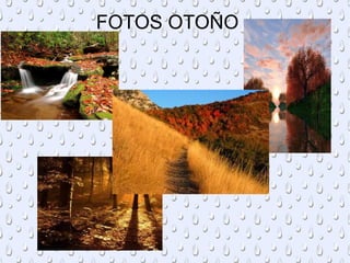 FOTOS OTOÑO
 
