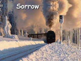Sorrow 