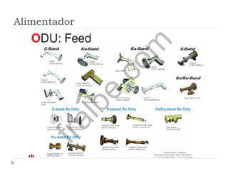 Alimentador
fralbe.com
 