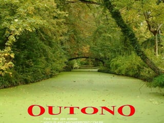 :Para mais pps acesse
 