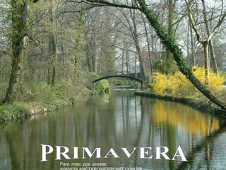 :Para mais pps acesse
 