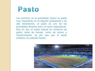 PastoLas canchas, en la actualidad, toman un papel muy importante en el deporte profesional y de alto rendimiento, el pasto es uno de los principales factores para un buen espectáculo. Hoy en día, el pasto natural es sinónimo de gasto, tanto de tiempo, como de dinero y mantenimiento, es por eso que el pasto sintético, ha cobrado fuerza.http://www.google.com.mx/imgres?q=pasto+santiago+bernabeu&um=1&hl=es&biw=788&bih=375&tbm=isch&tbnid=z6Kl4inhkmnQyM:&imgrefurl=http://www.ferplei.com/2010/09/video-observa-la-espectacular-transformacion-del-cesped-del-santiago-bernabeu/&docid=0sYm-6ZAArJRzM&w=718&h=292&ei=uaqCTt22JI6NsALB3JmcDw&zoom=1