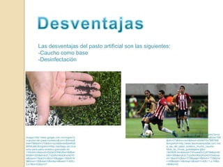 DesventajasLas desventajas del pasto artificial son las siguientes:-Caucho como base-DesinfectaciónImagen:http://www.google.com.mx/imgres?q=caucho+de+pasto+sintetico&um=1&hl=es&biw=788&bih=375&tbm=isch&tbnid=X5I9KPSo7BB7AM:&imgrefurl=http://www.laschivasrayadas.com.mx/a_ras_del_pasto_sintetico_mucho_caucho-fotos_de_chivas_guadalajara-igfpo-1943926.htm&docid=TWuuwdZUZy9T0M&w=400&h=266&ei=jK2CTq3zNcHKsQKxz42VDw&zoom=1&iact=rc&dur=218&page=4&tbnh=112&tbnw=169&start=14&ndsp=3&ved=1t:429,r:1,s:14&tx=86&ty=42Imagen:http://www.google.com.mx/imgres?q=caucho+de+pasto+sintetico&um=1&hl=es&biw=788&bih=375&tbm=isch&tbnid=Bj44Rd5j9XMUaM:&imgrefurl=http://santiago.olx.cl/caucho-para-pasto-sintetico-granulado-iid-116244414&docid=ZpDeGDR8GBaV4M&w=600&h=320&ei=jK2CTq3zNcHKsQKxz42VDw&zoom=1&iact=rc&dur=0&page=1&tbnh=69&tbnw=130&start=0&ndsp=8&ved=1t:429,r:3,s:0&tx=53&ty=27