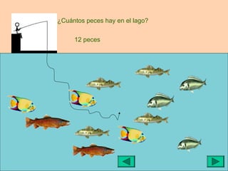 ¿Cuántos peces hay en el lago?


     12 peces
 