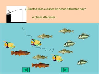 ¿Cuántos tipos o clases de peces diferentes hay?


     4 clases diferentes
 