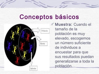 Conceptos básicos
Muestra: Cuando el
tamaño de la
población es muy
elevado, escogemos
un número suficiente
de individuos a...