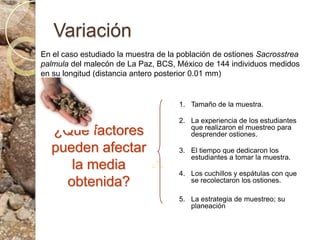 VariaciónTamaño de la muestra.La experiencia de los estudiantes que realizaron el muestreo para desprender ostiones.El tiempo que dedicaron los estudiantes a tomar la muestra.Los cuchillos y espátulas con que se recolectaron los ostiones.La estrategia de muestreo; su planeaciónEn el caso estudiado la muestra de la población de ostiones Sacrosstreapalmuladel malecón de La Paz, BCS, México de 144 individuos medidos en su longitud (distancia antero posterior 0.01 mm)¿Qué factores pueden afectar la media obtenida?