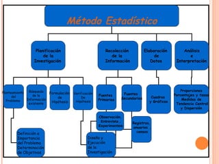 Método Estadístico Planificación de la  Investigación   Recolección  de la  Información   Elaboración  de Datos   Análisis e Interpretación   Planteamiento  del Problema  Búsqueda  de la  Información  existente  Formulación  de Hipótesis Verificación De Hipótesis   Fuentes  Primarias Fuentes  Secundarias Cuadros  y Gráficos  Proporciones Porcentajes y tasas Medidas de Tendencia Central y Dispersión  Definición e  Importancia del Problema Determinación de Objetivos  Diseño y Ejecución  de la  Investigación   Observación , Entrevista , Experimentos Registros, anuarios , censos 