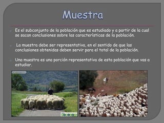 o Es el subconjunto de la población que es estudiado y a partir de la cual
se sacan conclusiones sobre las características de la población.
o La muestra debe ser representativa, en el sentido de que las
conclusiones obtenidas deben servir para el total de la población.
o Una muestra es una porción representativa de esta población que vas a
estudiar.
 