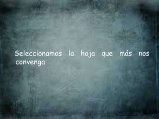Seleccionamos la hoja que más nos
convenga
 