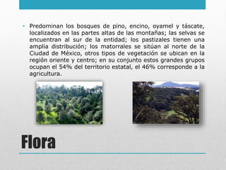 Descripcion del estado de méxico | PPTX