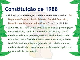 Criação do Comitê Pró Tapajós;