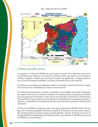 Estado actual de la raan vf | PDF