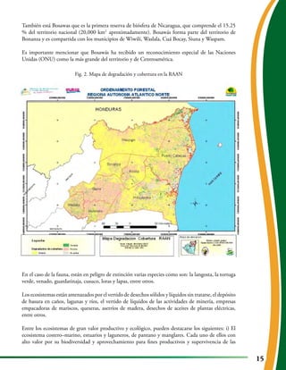 Estado actual de la raan vf | PDF