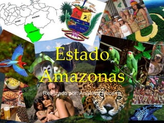 Estado
Amazonas
Realizado por: Angélica Becerra
 